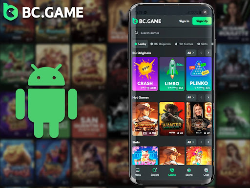 Discover the Thrills of BCigra Casino 29